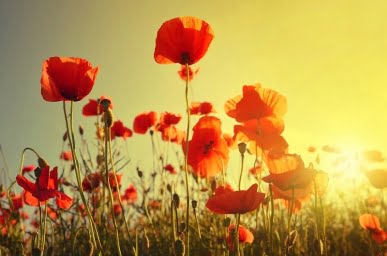 Accompagnement de l'hypersensibilité (haute sensibilité) à Meaux